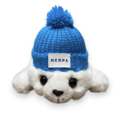 Мерч